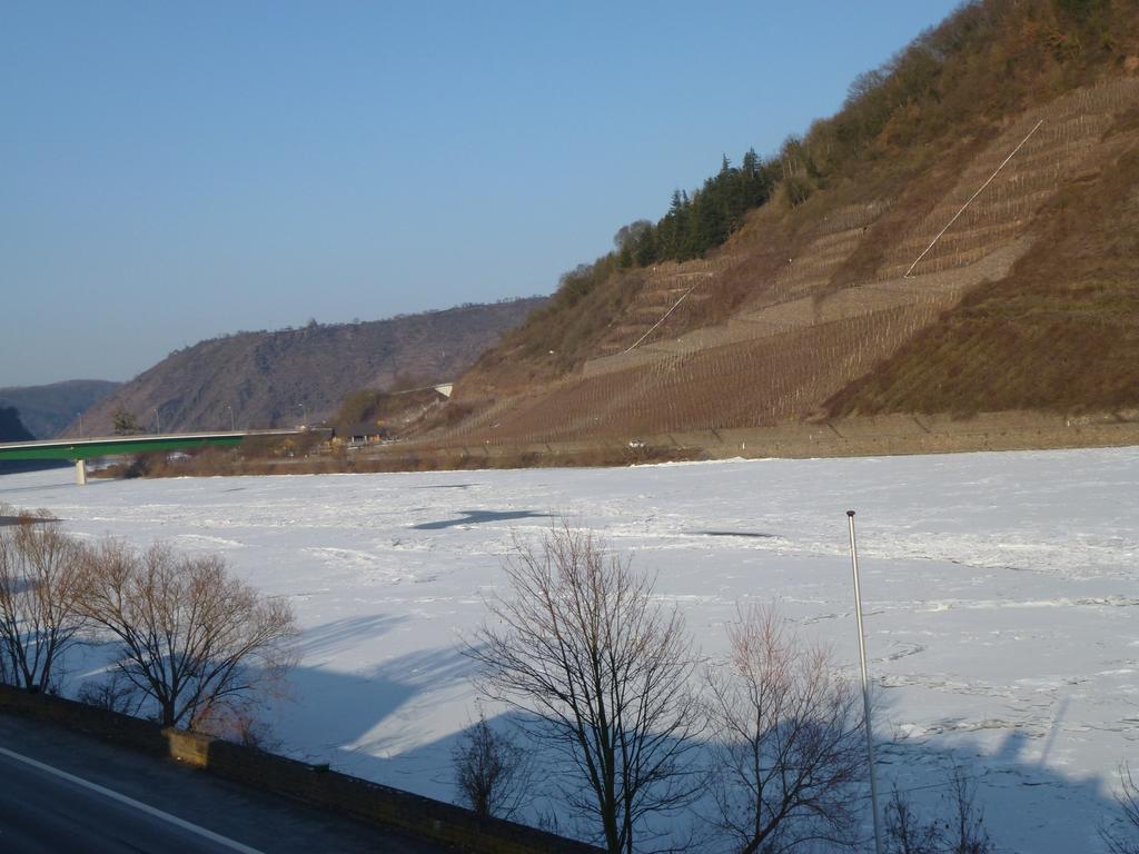 Ferienwohnungen Im Moseltal Loef Exterior photo